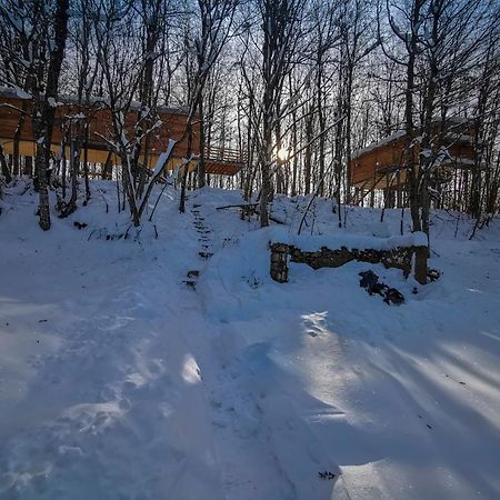 Treehouse Lika 2 Villa Medak Eksteriør bilde